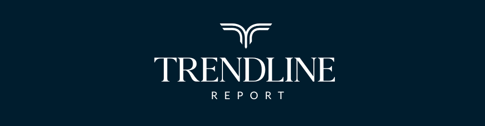 REPORT - No Background Icon copy